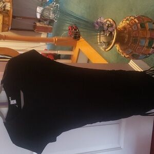 Susina Woman's Dress (NWT)